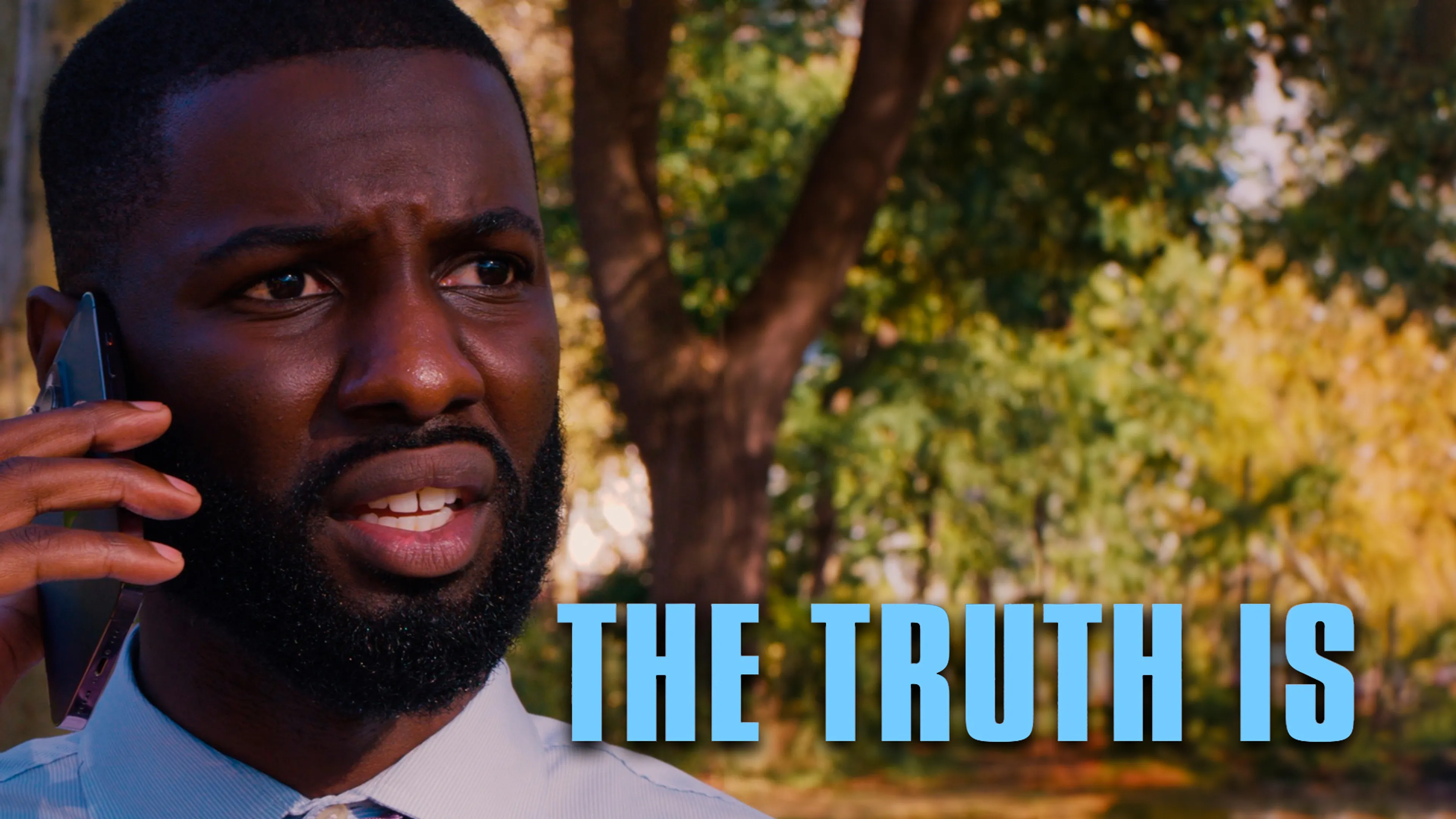 The Truth Is poster